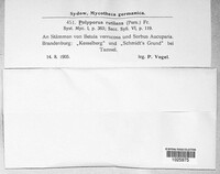 Image Associated With the Occurence